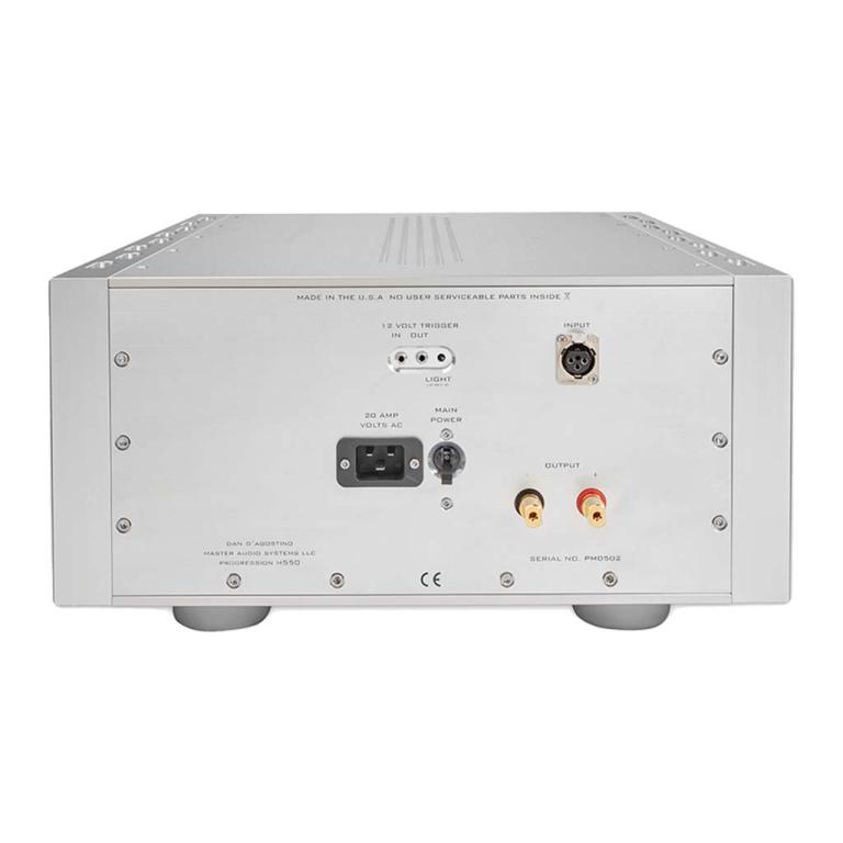 Dan D'Agostino M550 Mono Amplifier rear view