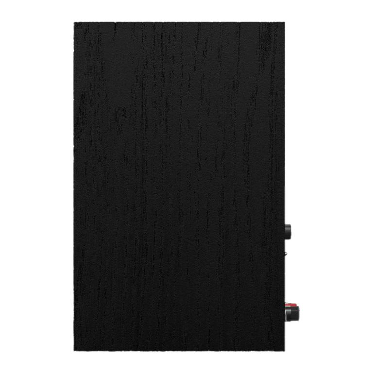 R-40PM Powered Speakers - Image 2