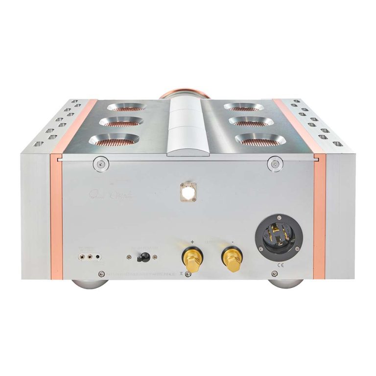Relentless 800 Mono Amplifier - Image 4