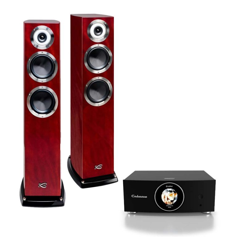 Murano Alto Floor Standing Speakers x Abyss Wireless Stereo Amplifier